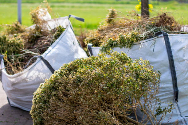 Best Appliance Removal  in Orchard Mesa, CO